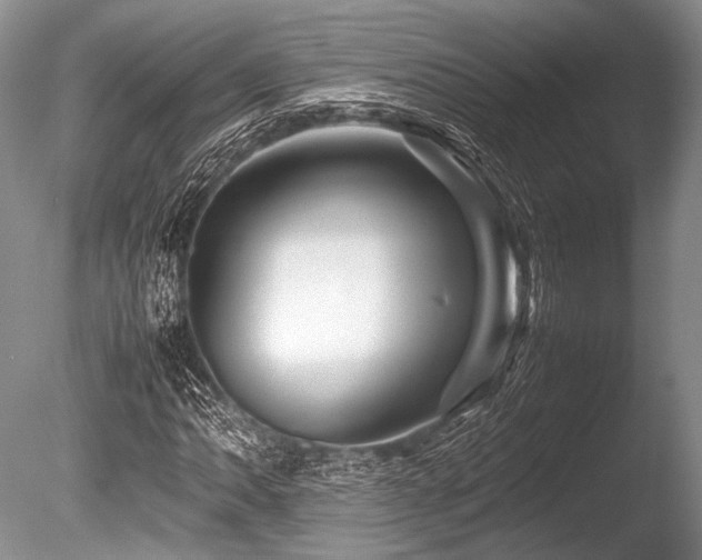 X0000086261062200703291427