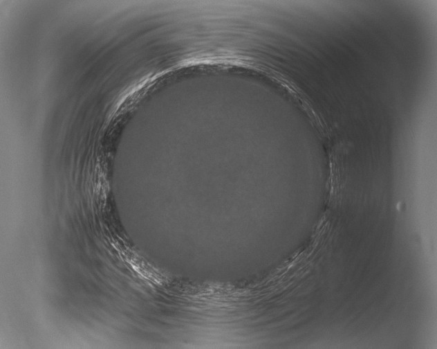 X0000086261064200703291427