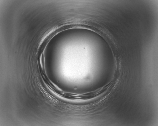 X0000086261069200703291427
