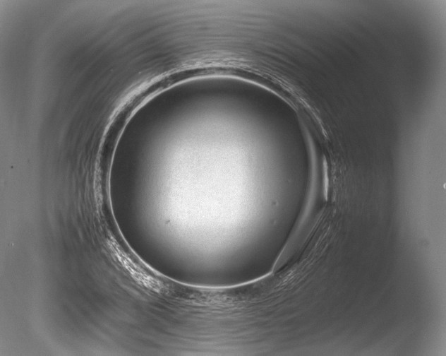 X0000086261072200703291427