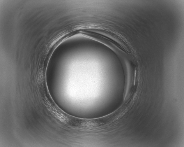 X0000086261073200703291427