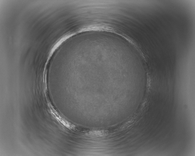X0000086261078200703291427