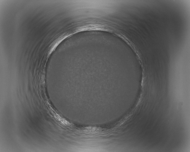 X0000086261081200703291427