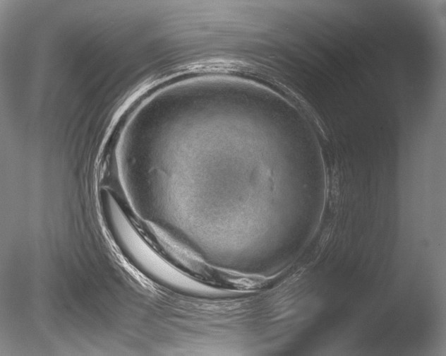 X0000086261083200703291427