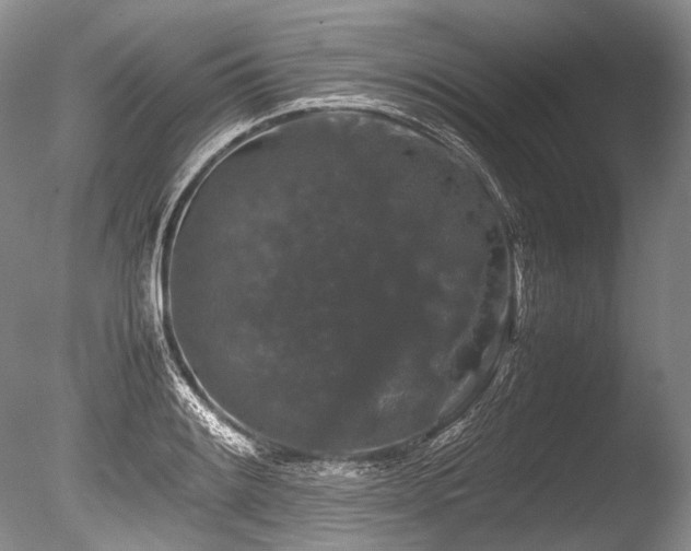 X0000086261084200703291427