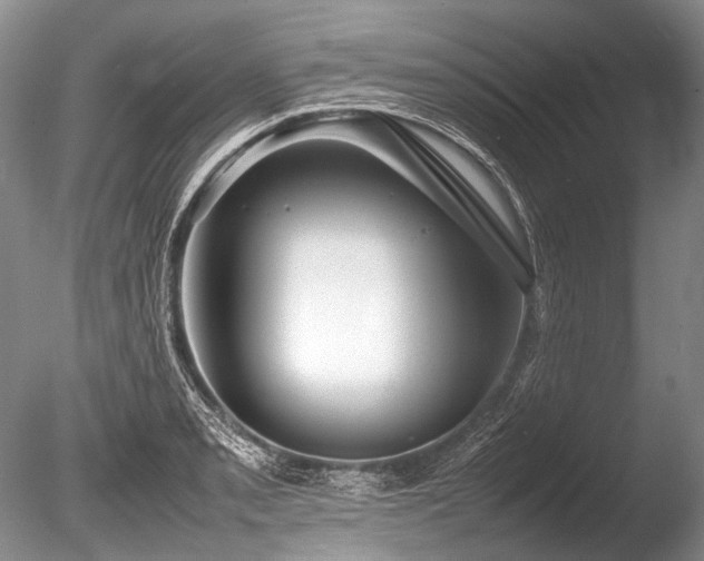 X0000086261085200703291427