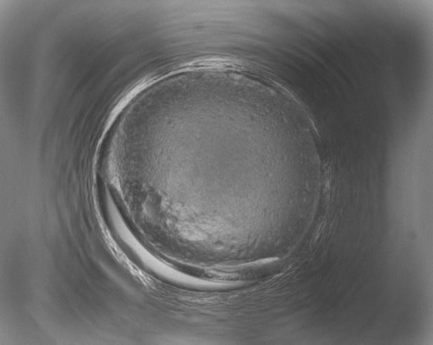 X0000086261091200703291427
