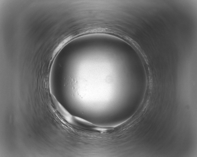 X0000086261097200703291427
