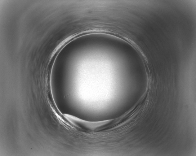 X0000086261101200703291426