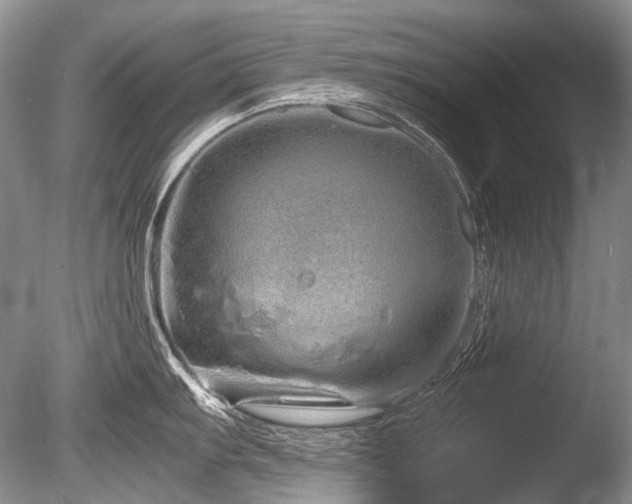 X0000086261103200703291426