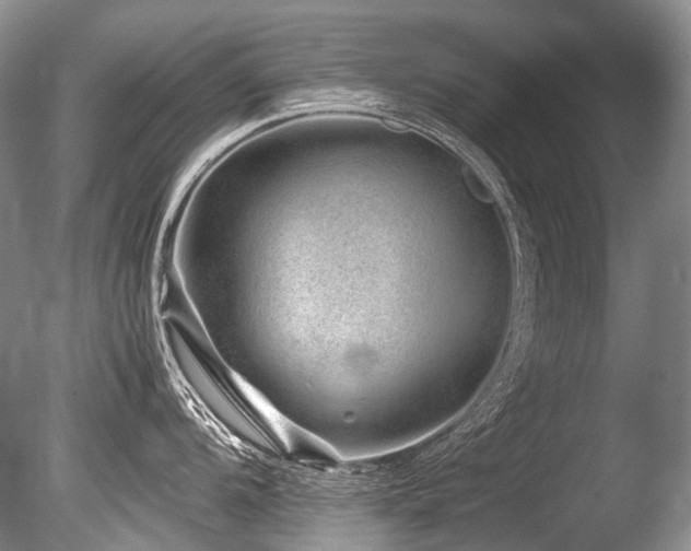 X0000086261104200703291426
