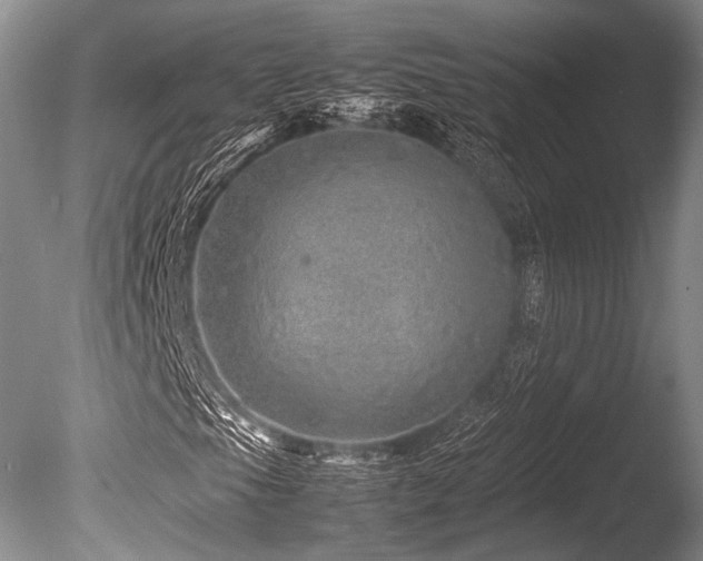 X0000086261105200703291426