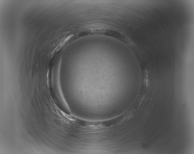 X0000086261108200703291426