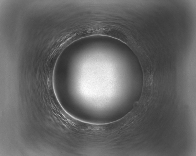 X0000086261109200703291426