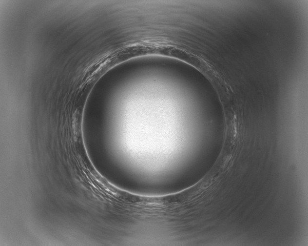 X0000086261110200703291426