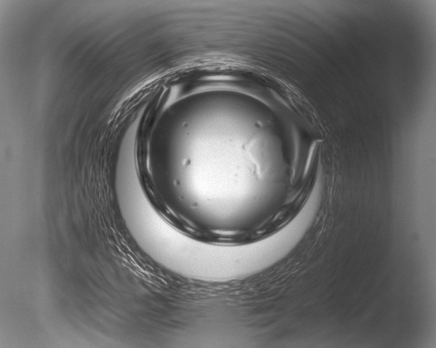 X0000086261112200703291426