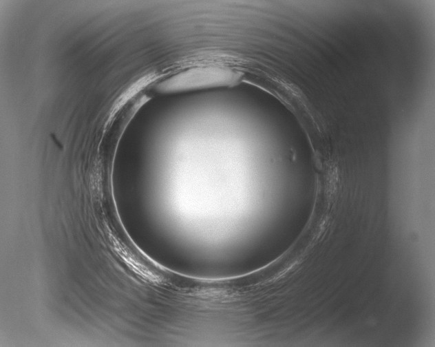 X0000086261114200703291426