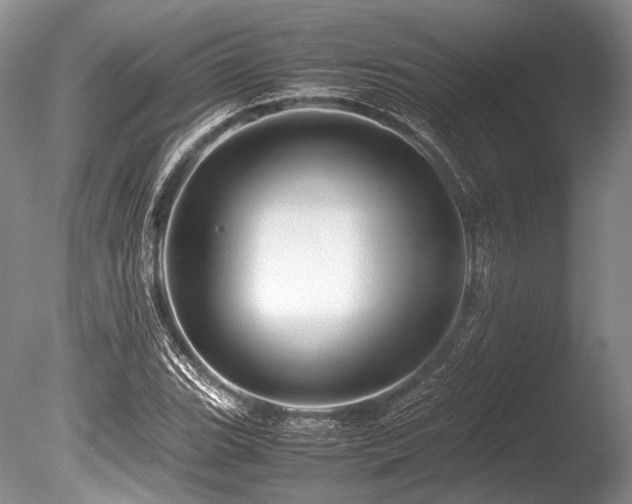 X0000086261119200703291426