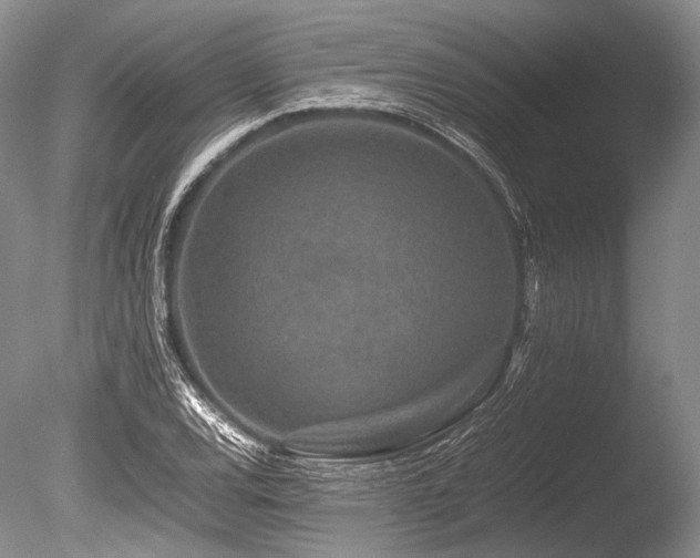 X0000086261120200703291426
