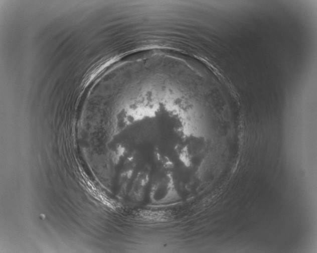 X0000086261121200703291426