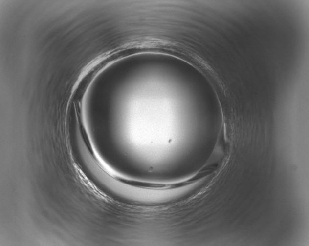 X0000086261122200703291426