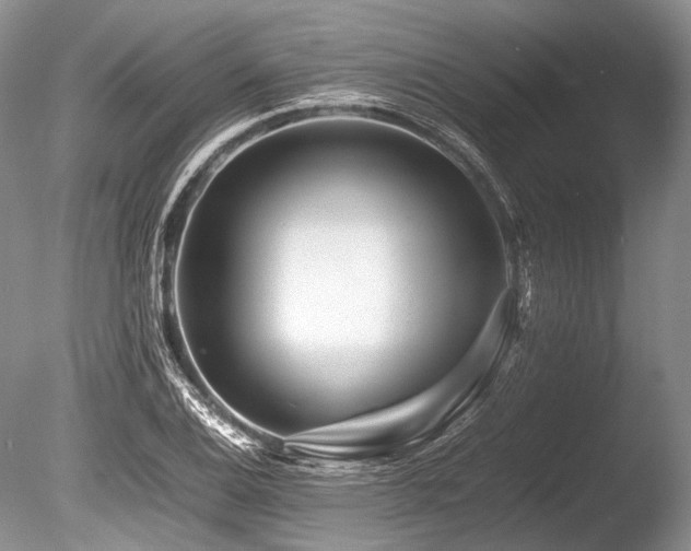 X0000086261124200703291426