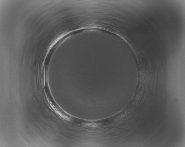 X0000086261127200703291426