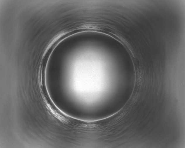 X0000086261131200703291426