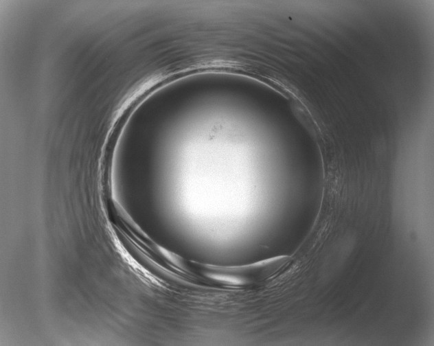 X0000086261135200703291426
