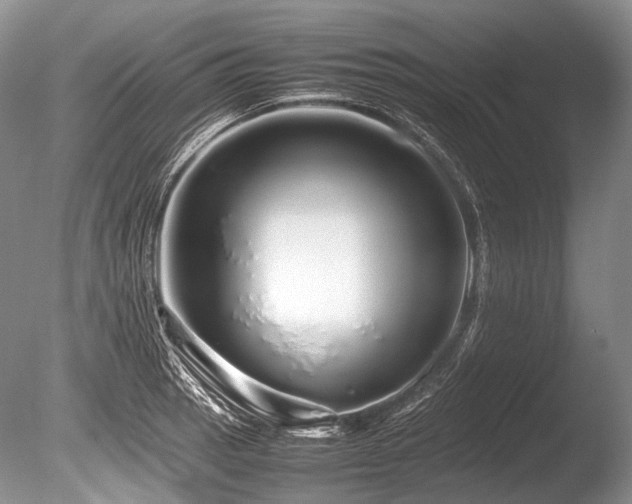 X0000086261137200703291426
