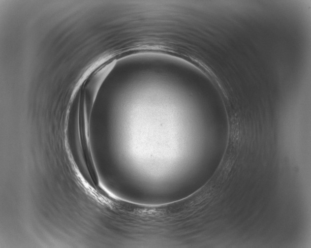 X0000086261139200703291426