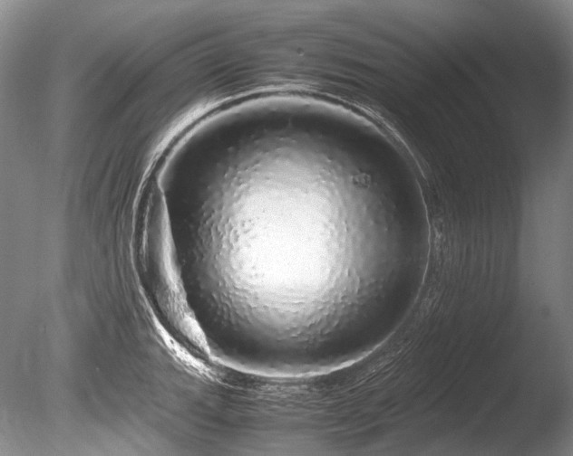 X0000086261143200703291426