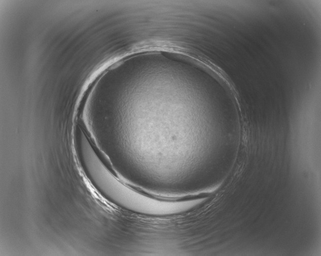 X0000086261144200703291426