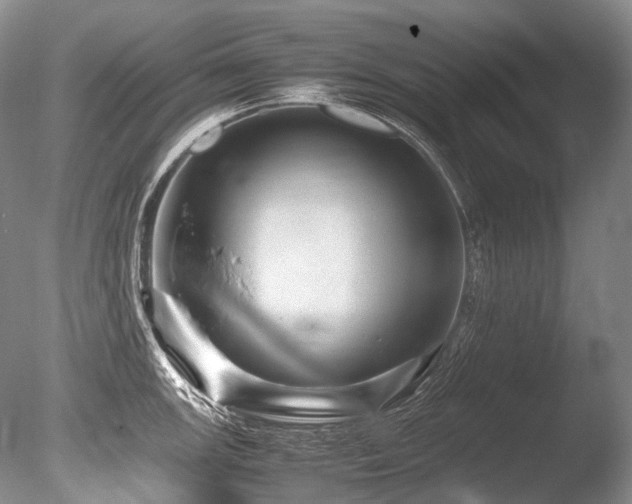 X0000086261147200703291426