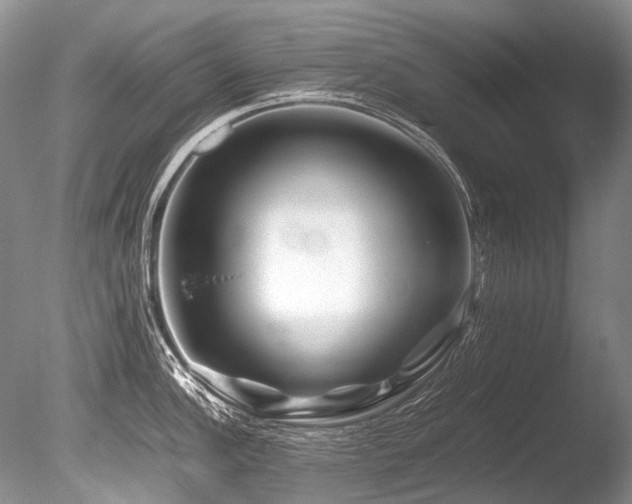 X0000086261148200703291426