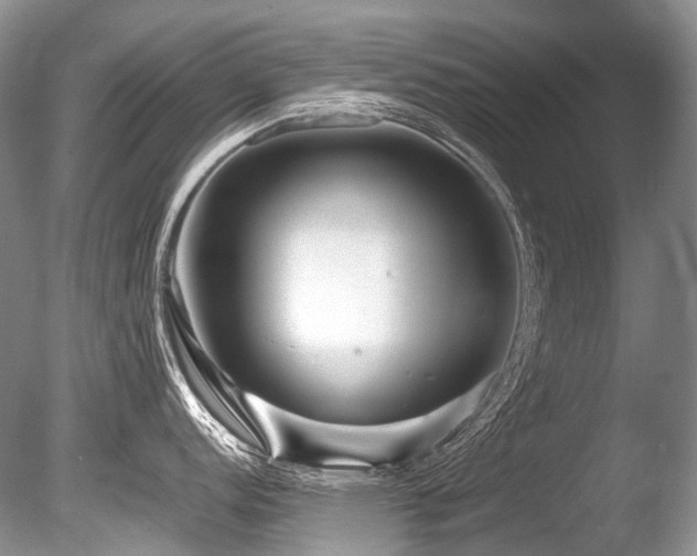 X0000086261152200703291426