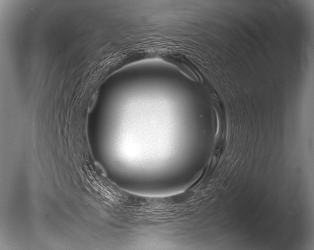 X0000086261153200703291426