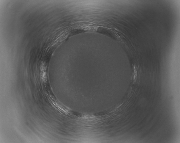 X0000086261154200703291426