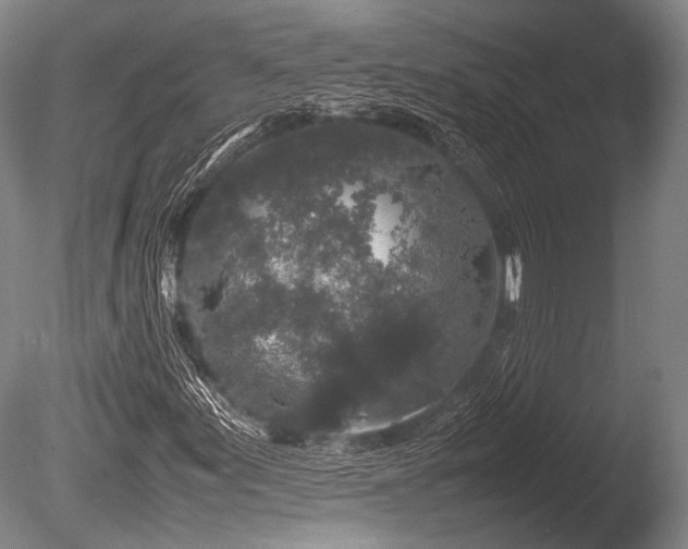 X0000086261155200703291426