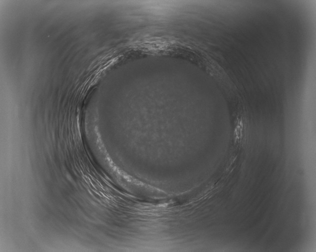 X0000086261156200703291426