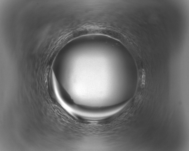X0000086261157200703291426