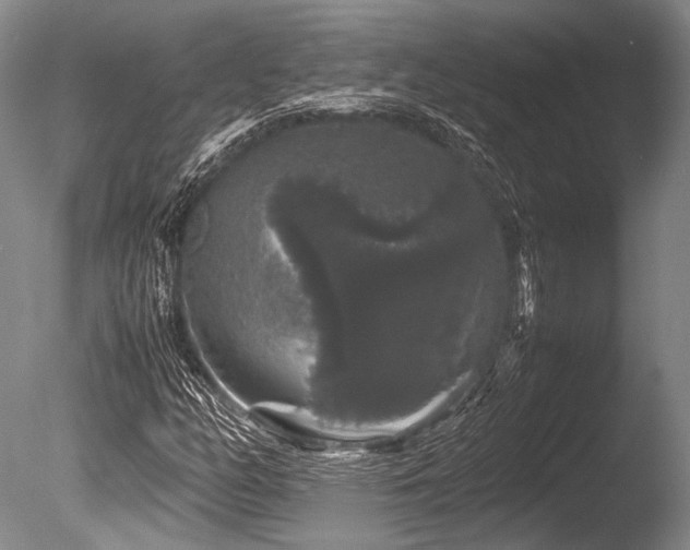 X0000086261158200703291425