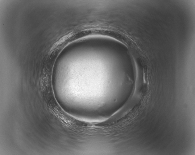 X0000086261159200703291425