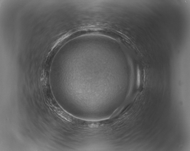X0000086261160200703291425