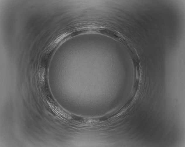 X0000086261161200703291425