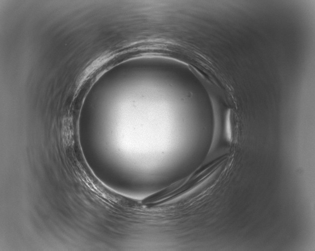 X0000086261164200703291425