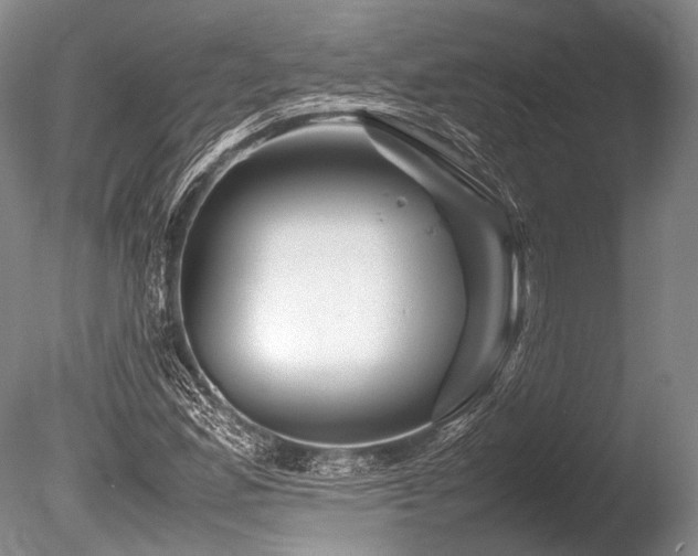 X0000086261165200703291425
