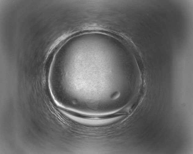 X0000086261167200703291425