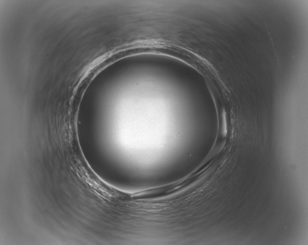 X0000086261168200703291425