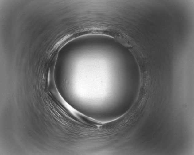 X0000086261169200703291425